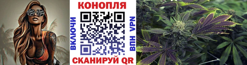 Купить  Грайворон  Конопля план 
